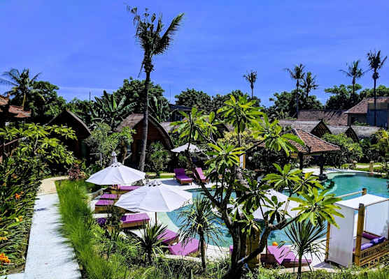 Paradesa Living 1