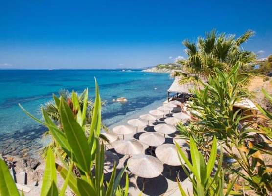 ALEXANDER BEACH HOTEL 1