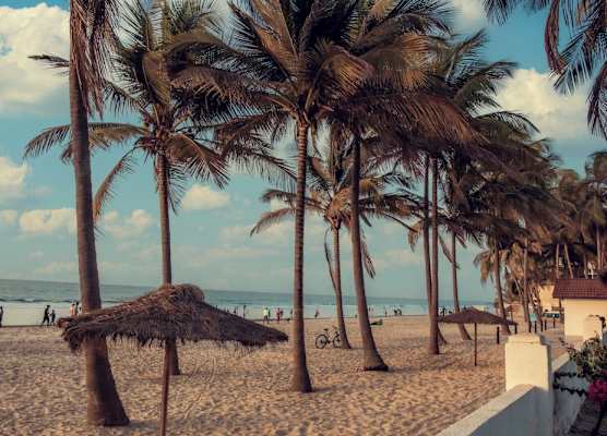 Bungalow Beach Hotel 1