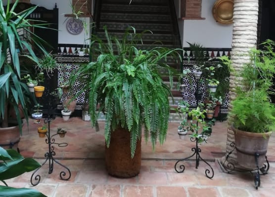 Hostal Comercio 1