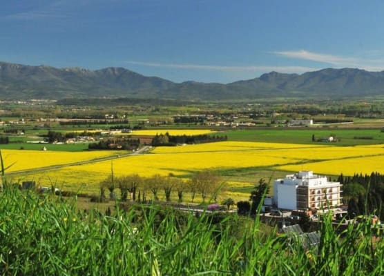 Hotel Emporda 1