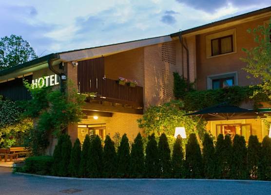 Hotel Ai Gelsi 1
