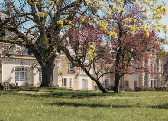 Château De Razay 1