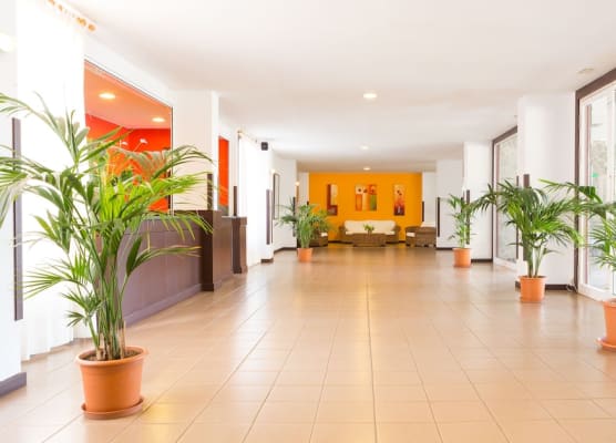 Apartamentos Centro Cancajos 1