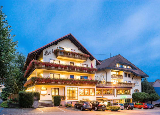 Hotel Krone Igelsberg 1