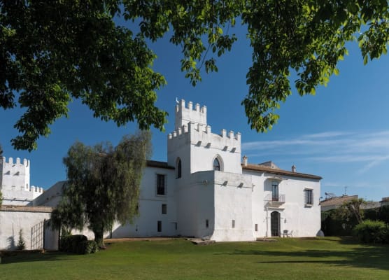 Cortijo Torre De La Reina 1