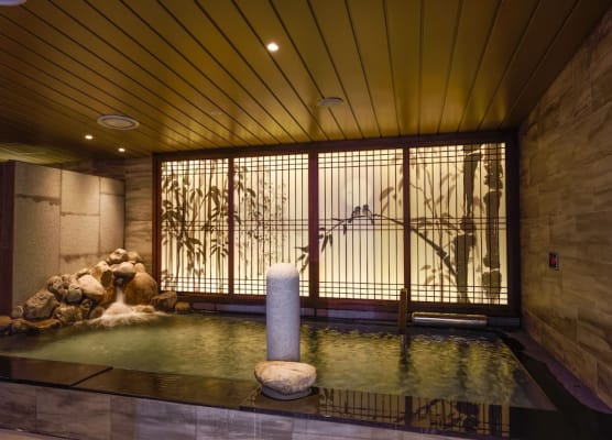 Dormy Inn SEOUL Gangnam 1