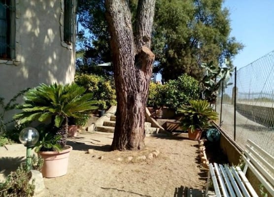 B&B Il Vigneto 1