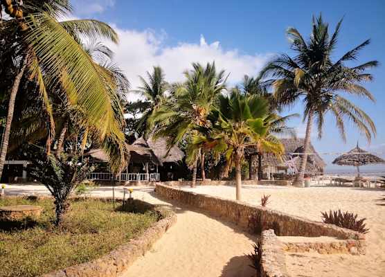 Mambo Ocean Resort 1