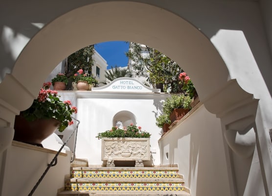 Albergo Gatto Bianco 1