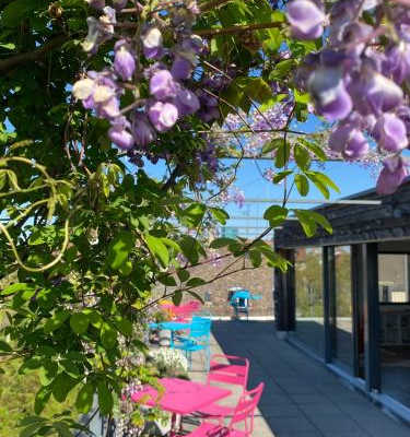 Josephine's Guesthouse - WOMEN ONLY with rooftop and community area 1