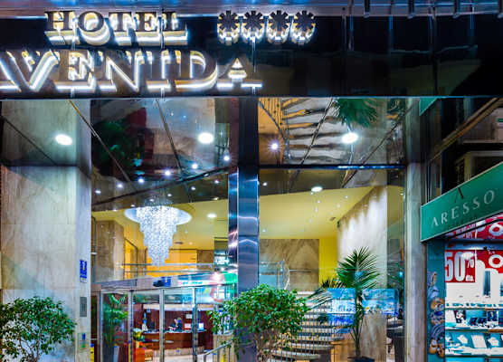 Hotel Avenida 1