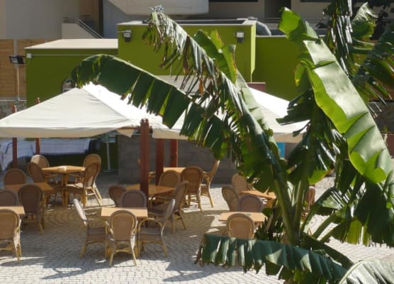 Terraza de Amadores 1
