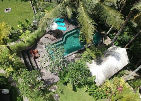 Ubud Tropical 1