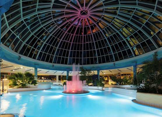 Vital Hotel Rhein Main Therme Wellness Resort & SPA 1