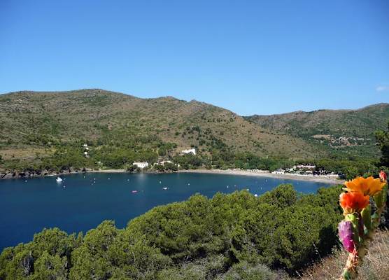 CAMPING CALA MONJOI 1
