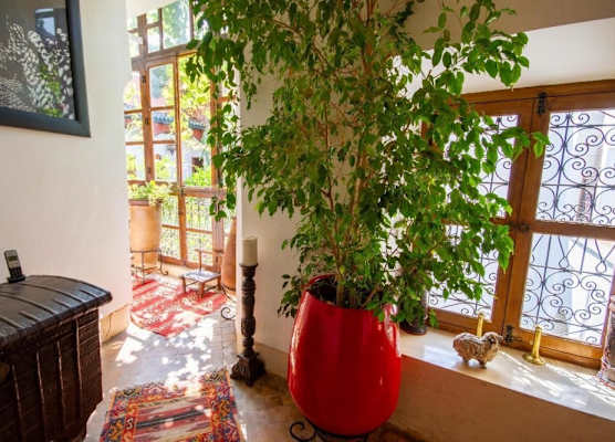 Riad Dombaraka 1