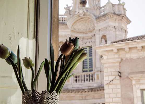 La Collegiata Guest House 1