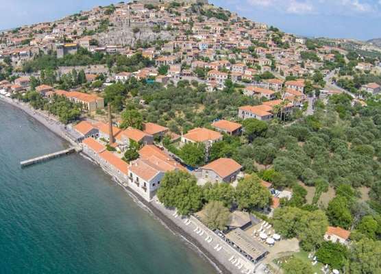 Olive Press Hotel 1