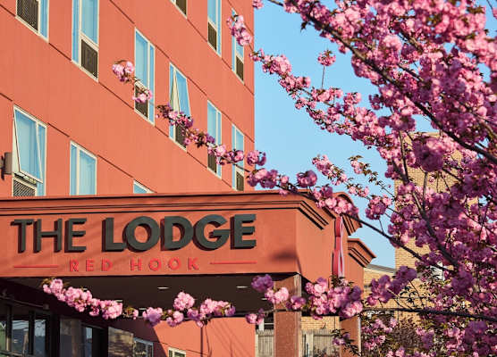 The Lodge Red Hook 1