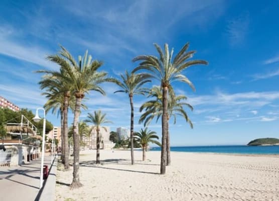 Magaluf Strip Apartment 1