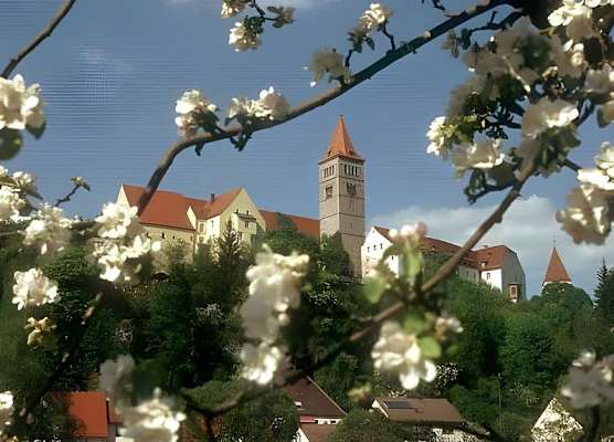 Hotel & Landgasthof Forsthof 1
