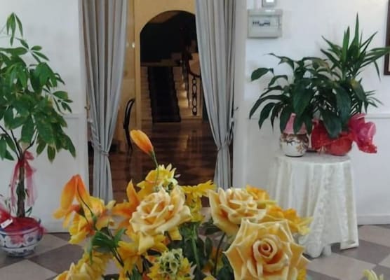 Antico Hotel Moderno 1