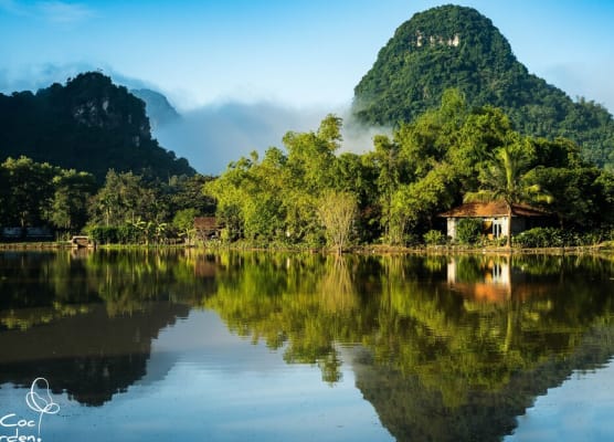 Tam Coc Garden Resort 1