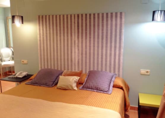 Hotel Patilla Ciudad de Requena 1