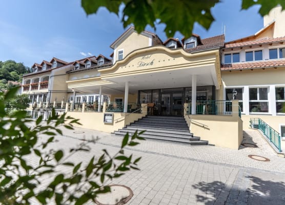 Hotel Dirsch Wellness & Spa Resort 1