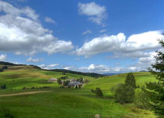 derWaldfrieden naturparkhotel 1