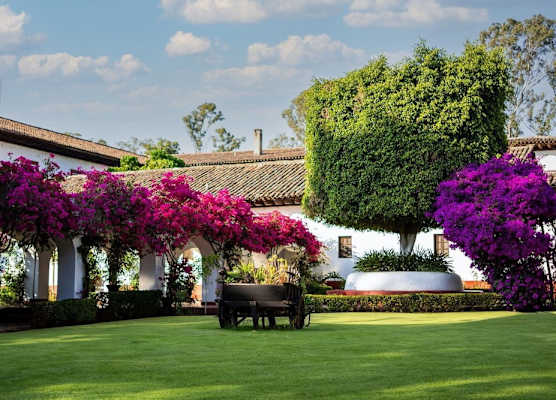 Best Western Plus Posada de Don Vasco 1