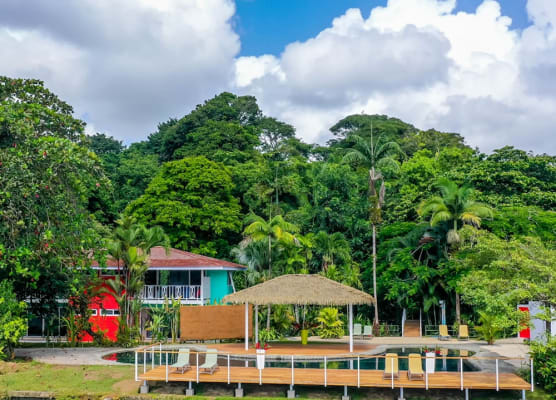 Tortuga Lodge 1