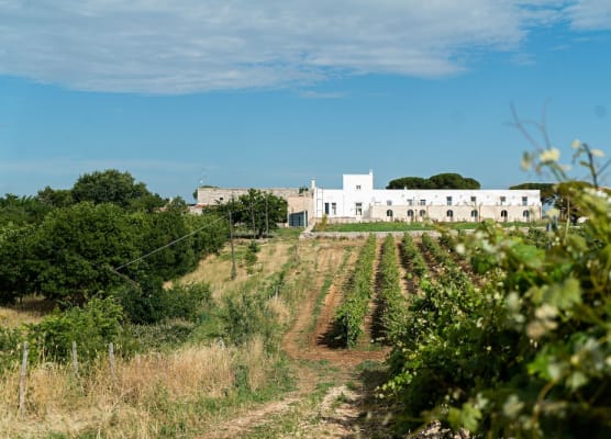 Le Masserie Zucaro 1