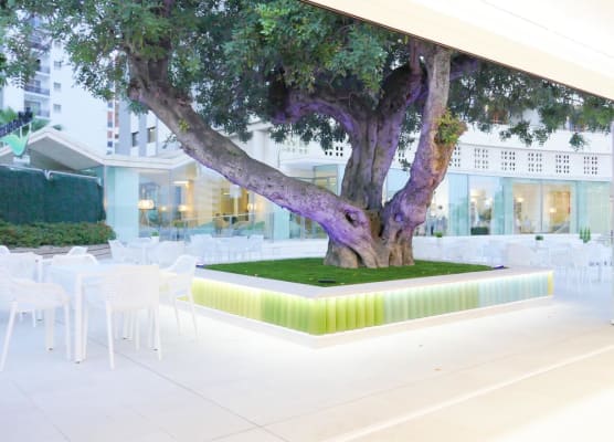 Hotel Primavera Park 1