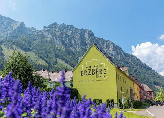 Erzberg Alpin Resort by ALPS RESORTS 1
