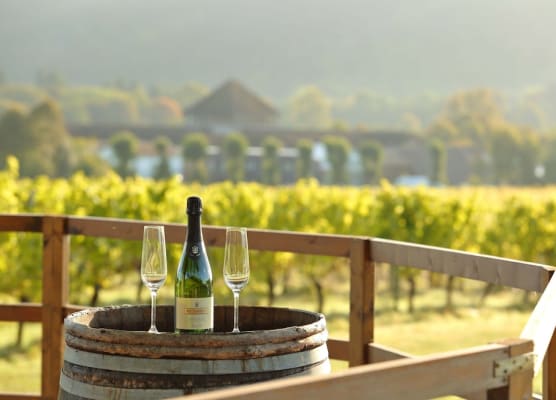 Denbies Vineyard Hotel 1