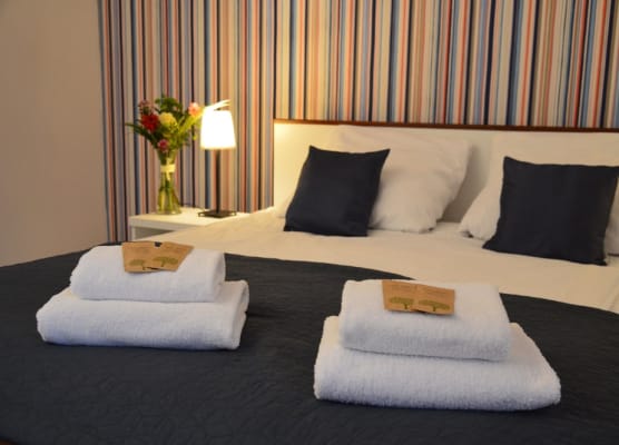 Cracow Central Aparthotel 1