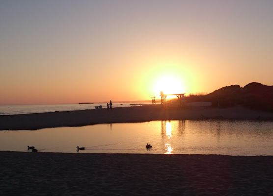 Son Bou Playa Gold by Menorca Vacations 1