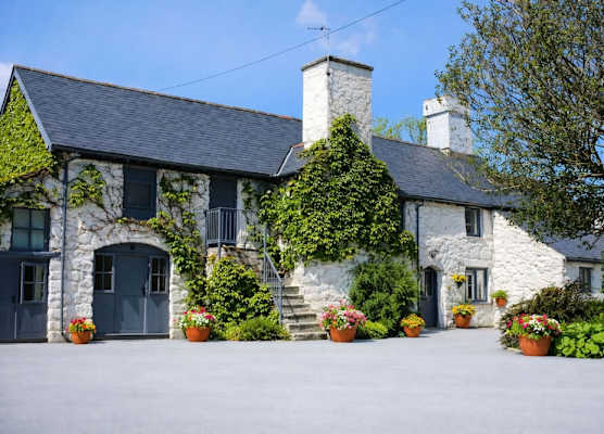 Dolgun Uchaf Historic B&B and Cottages with Boutique Bedrooms In The Heart of Snowdonia 1