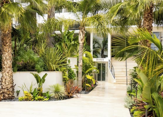 Staybridge Suites CANNES CENTRE by IHG 1