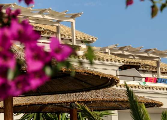 Tereza's Sunset Hotel 1