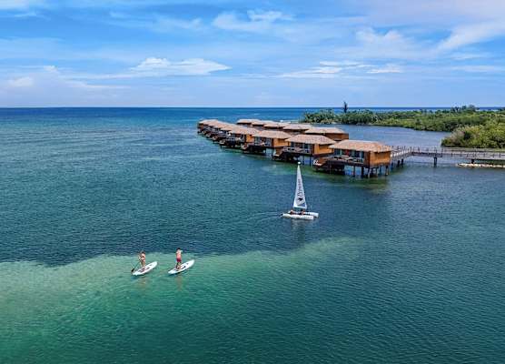 Princess Senses The Mangrove Resort - Adults Only 1