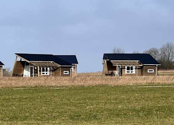 Dancamps Kolding City 1