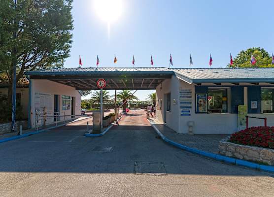 Camping Village Pino Mare 1