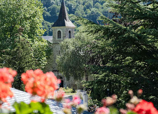 Mercure Saint-Lary 1