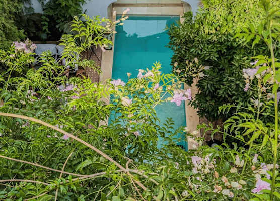 Riad Rafaele & SPA 1