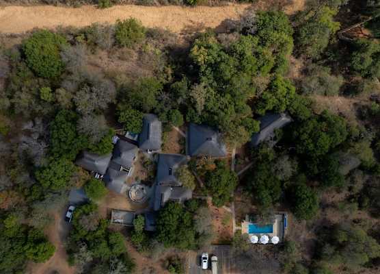 Bushbaby River Lodge 1