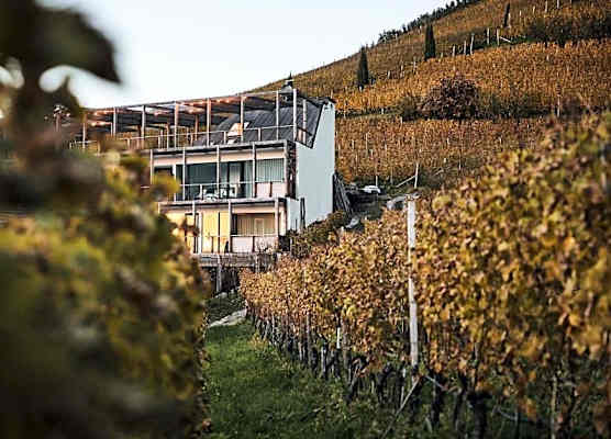 byHaller Suites & AO Restaurant 1