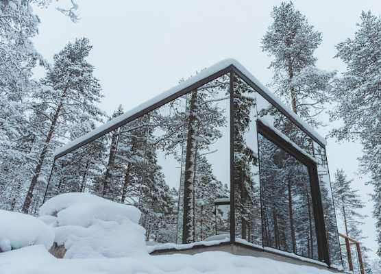 Invisible Forest Lodge & Spa 1